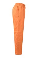 Pantalón pijama sanitario 533001 Velilla - vista 2