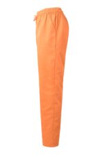 Pantalón pijama sanitario 533001 Velilla - vista 2